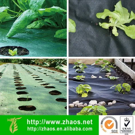 Weedblock 1*100m polyethylene fabric/ weed mat