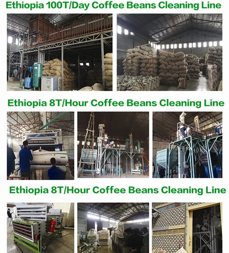 coffee bean cleaning1.jpg