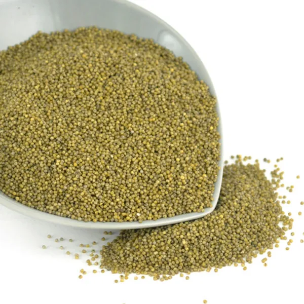 wholesale green / red / yellow / white foxtail millet in husk