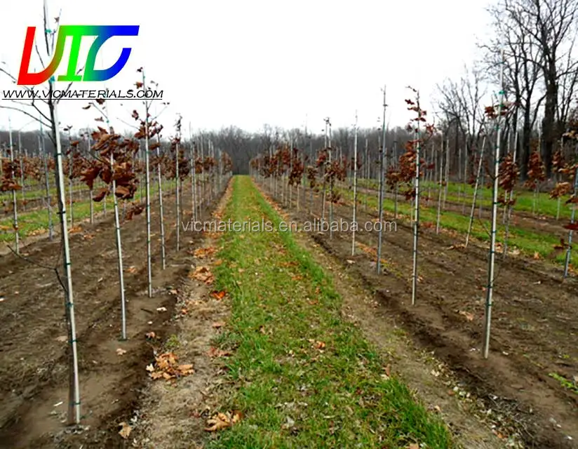 
Reliable and Cheap plastic tree stake for wholesale 