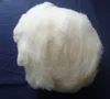 raw sheep wool