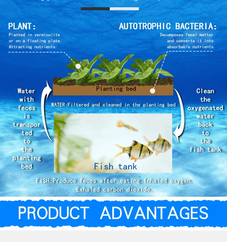 Plant new arrivals acrylic fish farming tank  Water Garden Fish Bowl Aquarium Tank  aquarium hydroponics hot best seller