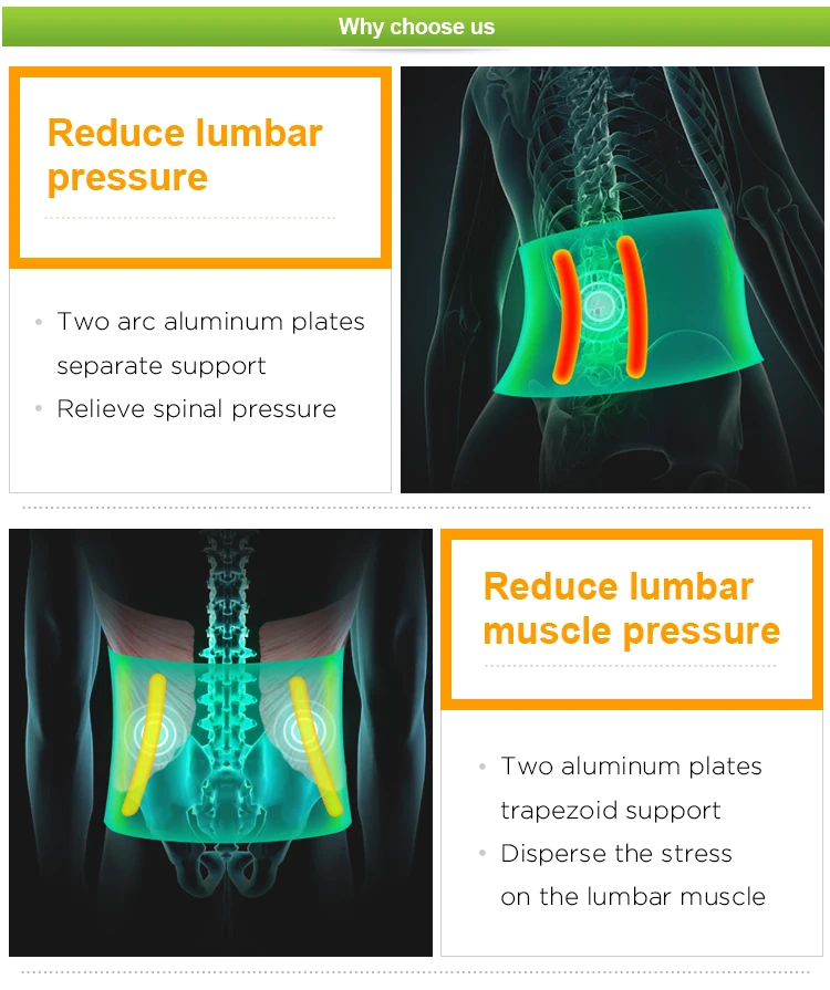 Elastic cord lower back support brace