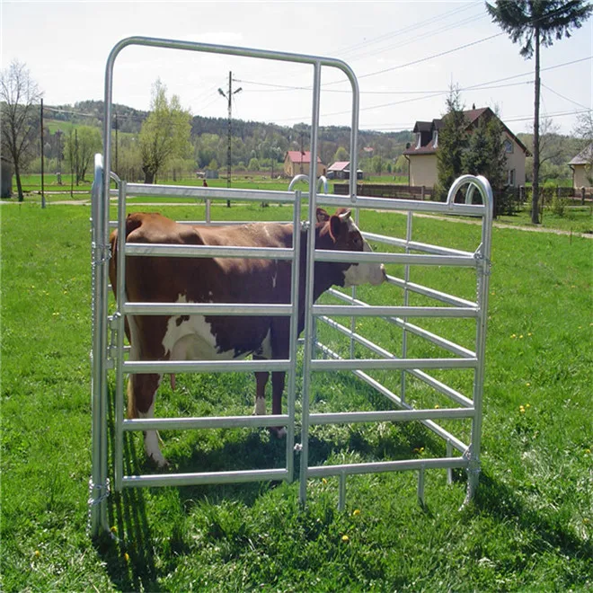 

Outdoor Removable Durable Farm Cheap Iron Galvanized Pipe Fencing Livestock