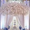 IFG wholesale 15-75cm white ostrich feather fabric wedding