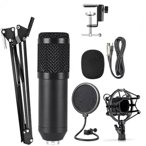 Professional Condenser Microphone BM 800 Shock Mount