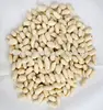 big size blanched peanut kernel peanut buyers