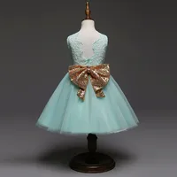 

1st Birthday Dress For Baby Girl Cheap Baby Clothes Kids Fashion Clothes WG00294