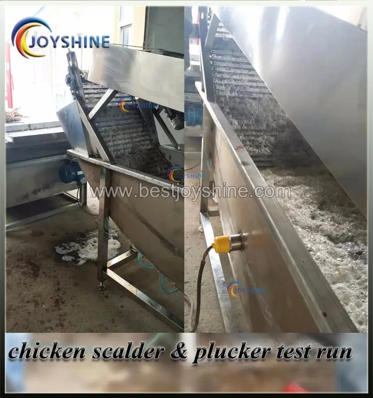 700 pcs/h capacità gas o vapore o di riscaldamento elettrico barca forma di pollo automatico scalder pollo macchina scottature buy product on ... Riscaldamento a gas o elettrico