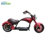 EcoRider E5-5 19 Inch 2000W 2 Wheel Electric Citycoco 60V Motorcycle for Adults with Lithium Battery