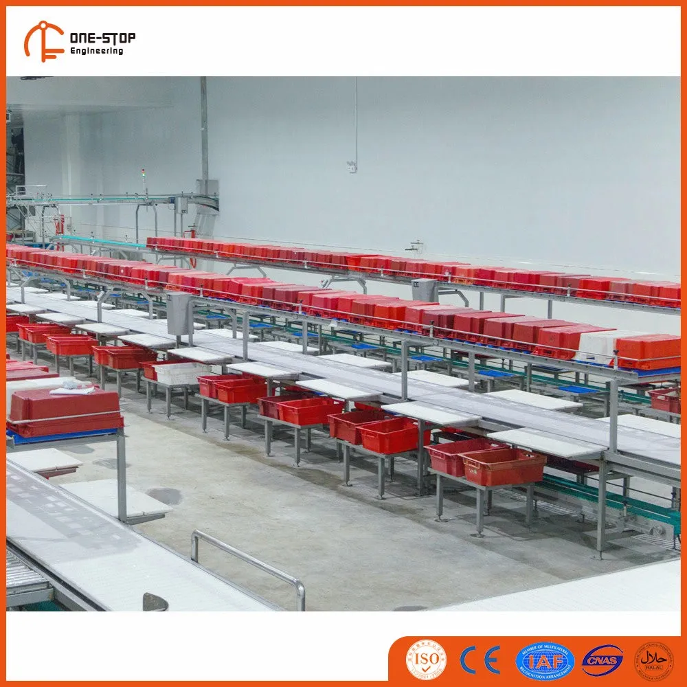 modern_halal_approved_cow_slaughter_house_with_turnkey_project