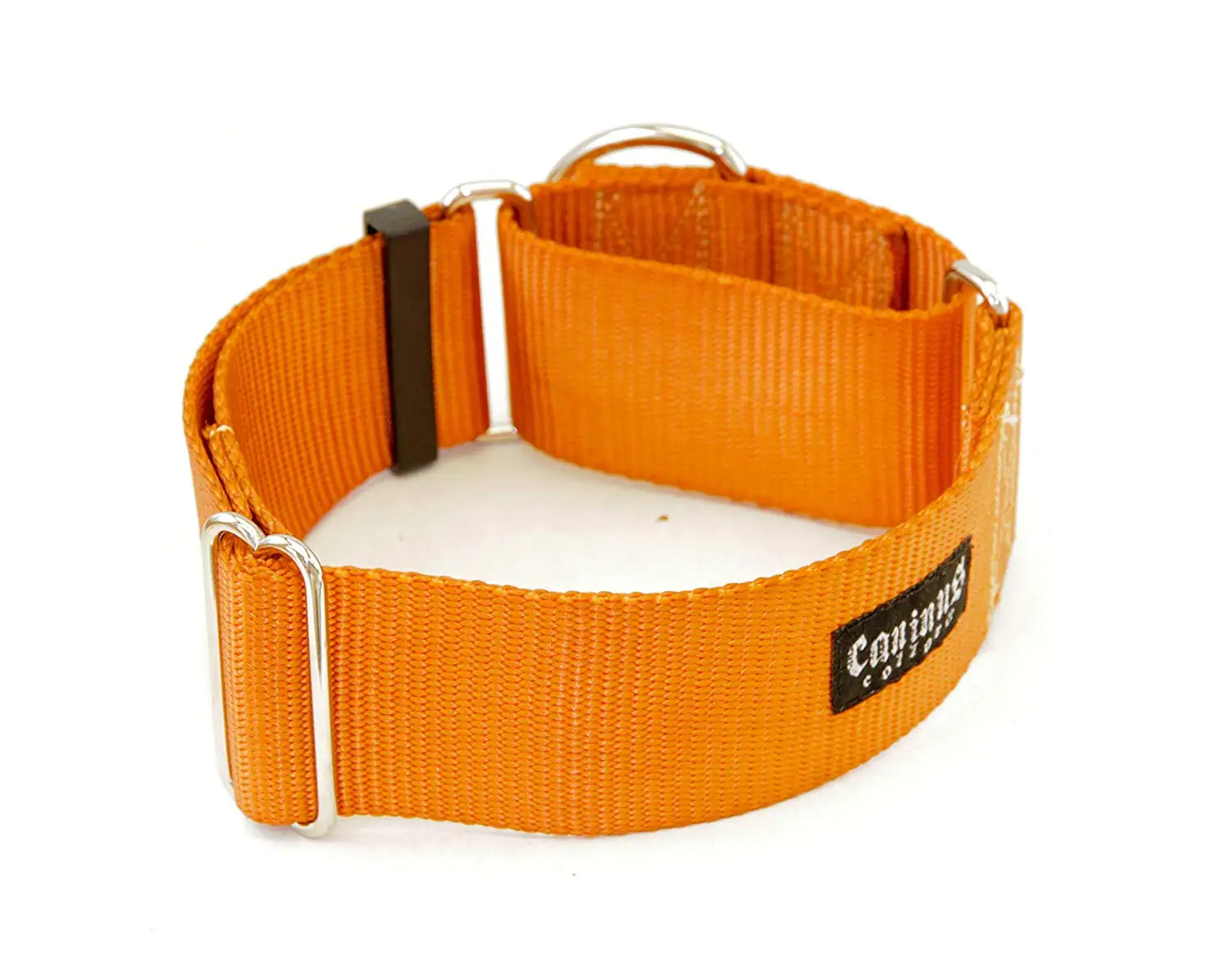 2 inch martingale collar