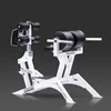 Professional Gym Equipment Rogers Fitness Equipment Glute-Ham development