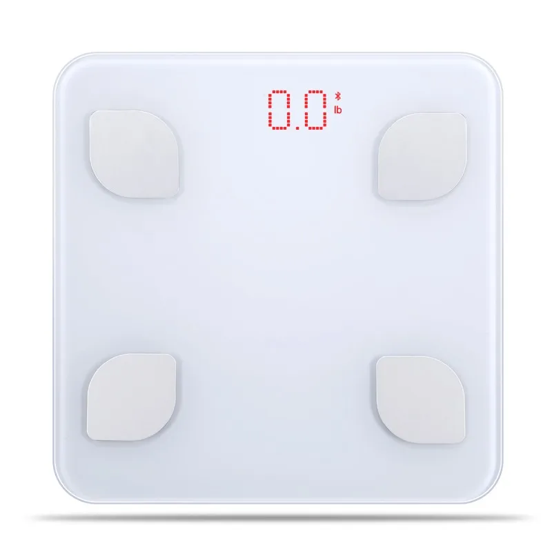 body scale