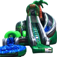 

professional manufacturer inflable slide inflatable water slide palm for adult