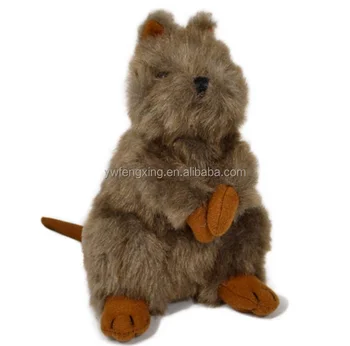 quokka cuddly toy