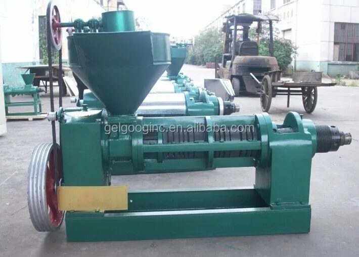 Automatic Avocado Plam Olive Oil Pressing Small Coconut Watermelon