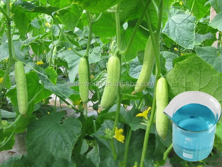 agricultural useful liquid sugar alcohol ca-160 with low price