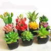Artificial Succulent Plants Tropical Plants Flowering Succulent Plants Artificial Plastic Cactus