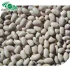 best price of nutritious white kidney beans