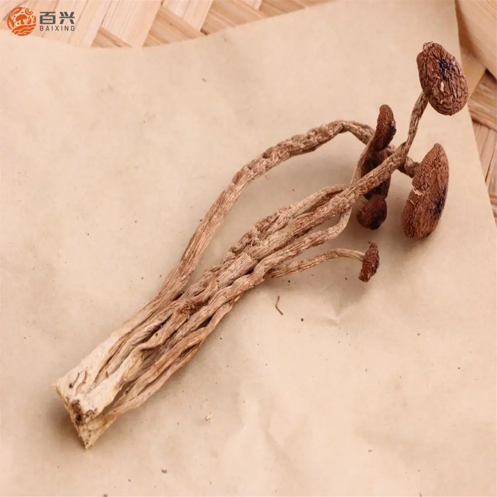 
High Performance Dried Agrocybe Cylindracea 