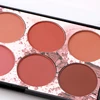 Korea Cosmetic Wholesale OEM Pricate Label Too Cool Empty Cosmetic Pricate Label Make Up Set Blush Palette