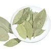 Natural Spices Favoring Laurel Dried Bay Leaves for Sale