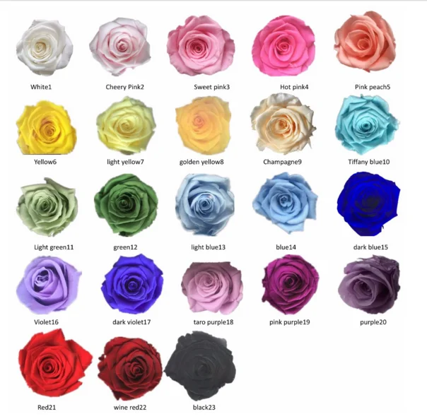 Wholesale Fresh Preserved Roses Flower Buy Roses Preserved Roses Fresh Preserved Flowers Product On Alibaba Com