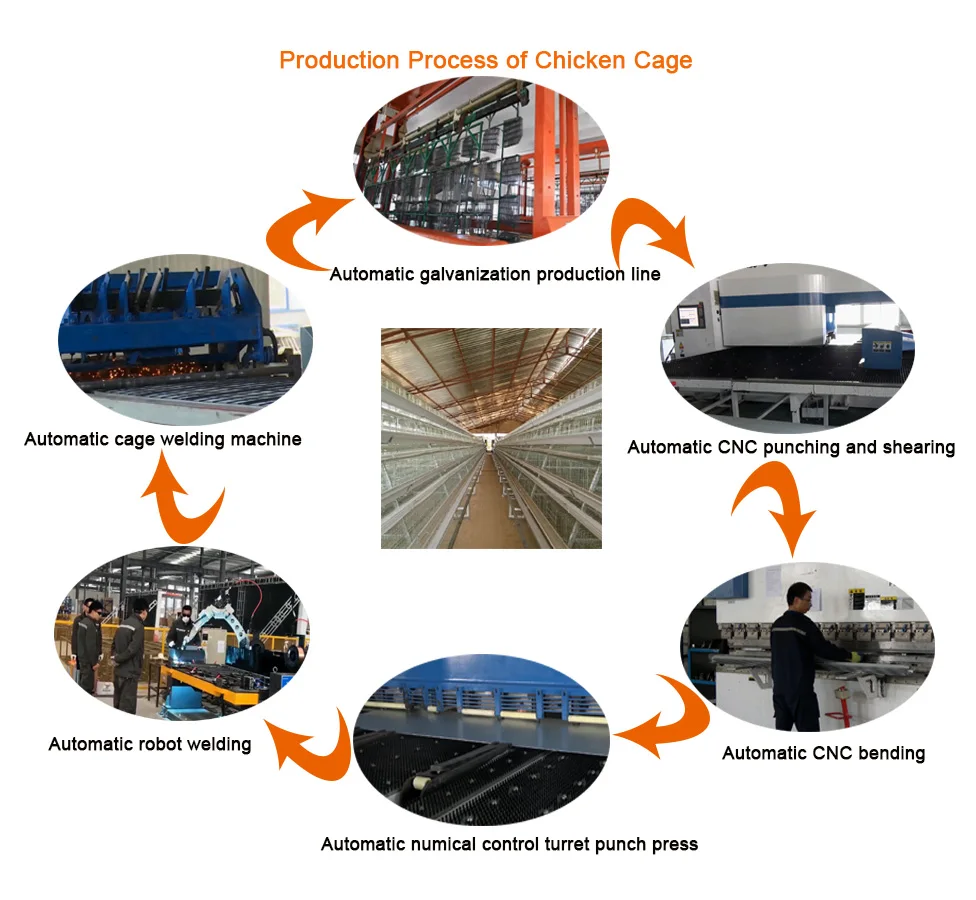 Production Process.jpg