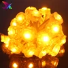 New Design Amusement Lighting 5050 Led Point Sources for Amusement Places