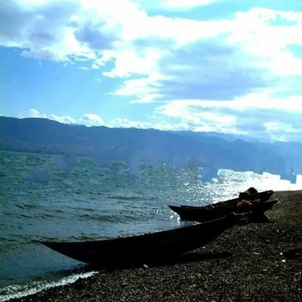 
factory of natural powder/tablets spirulina with best price 