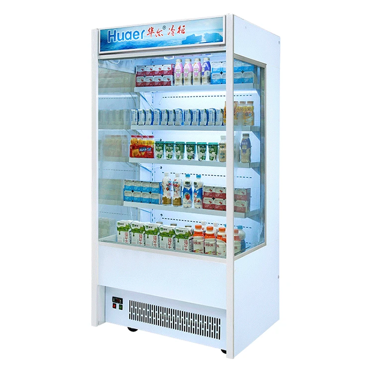 mini fridge for fruits and vegetables
