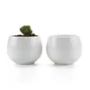 White Drum Shape Round succulent Plant Pot