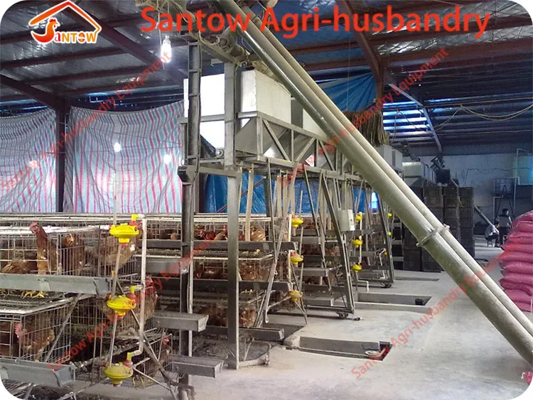 Hot Galvanized Chicken Poultry Cages Cold Galvanized Cage Tunnel