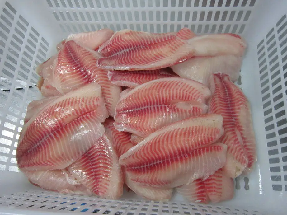 Tilapia Fillet (7)_.jpg