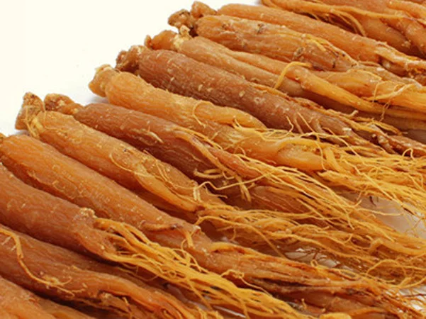 
High quality wholesale Organic red ginseng root 
