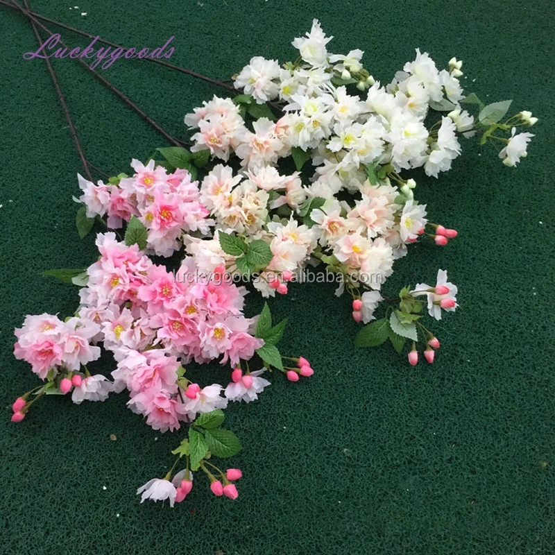LG20190606-18 (2).jpg