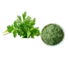 spray dried celery powder/celery juice powder/celery fiber