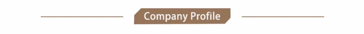 Company P