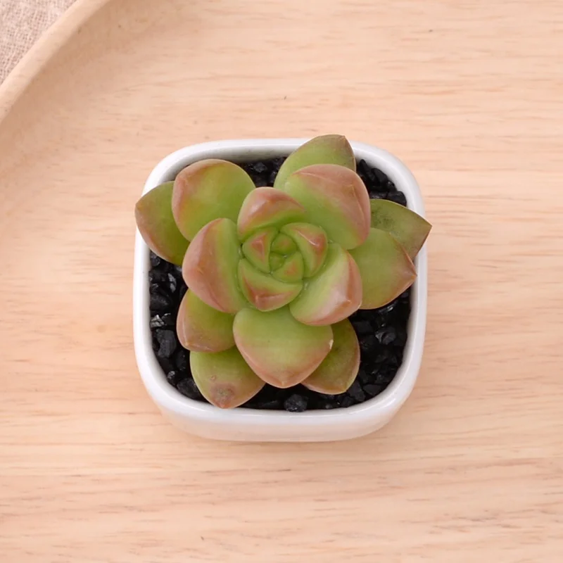 
Simple rounded square mini fleshy plant ceramic flower pot 