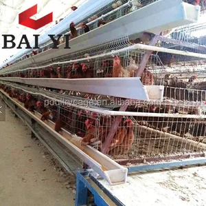 Chicken Farm Layer Cages For Sale In Zimbabwe Namibia