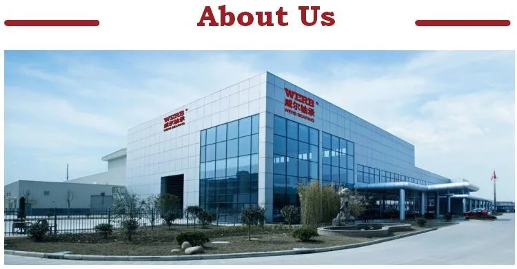 Linear Motion Sfu4008 Ball Screw- Effective Length 550mm And Screw Ballnut With End Support Bk/bf12 And Coupling 5x10mm Couplers