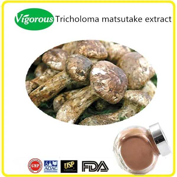 Tricholoma matsutake extract.jpg