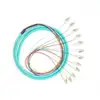 0.9MM 12 core SC UPC SM om3 sc fiber optic pigtail