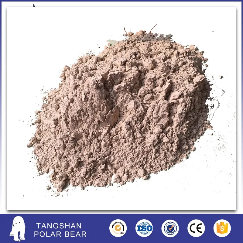 1.CSA Binder type III -  (2).jpg