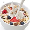 spray dried non dairy creamer for cereal solid beverage oatmeals low calories