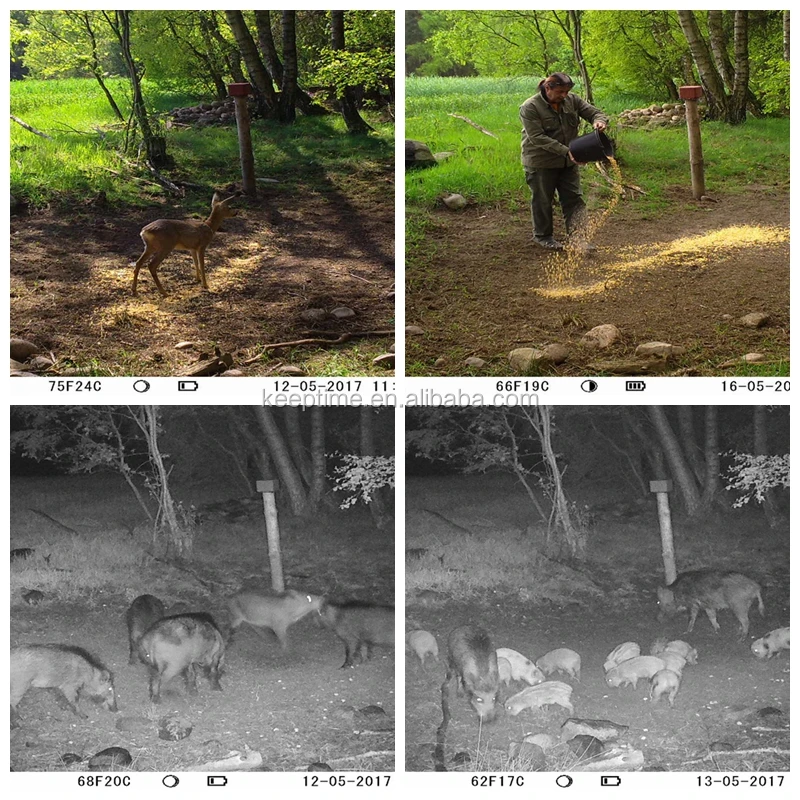 Highly qualified 60 seconds Video Length FOV 55 degree 4g hunting camera