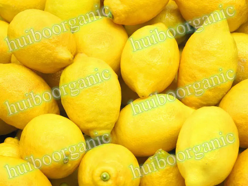 Lemon juice powder 03