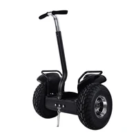 

Vehicle Export 72V Wind Rover Smart 140Kg Load Two Wheel Self Balancing Electric Scooter With Handle