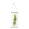 Wall Hanging Plant Specimen Clip Copper Geometric Vertical Decor Photo Display Transparent Clear Glass Picture Frame